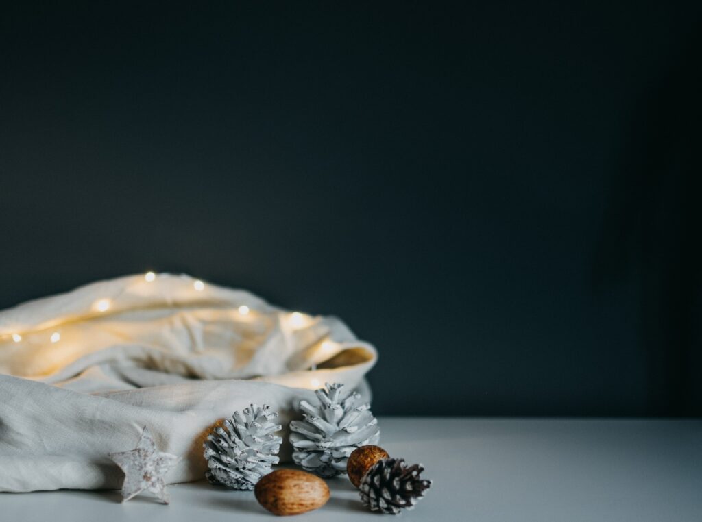 pine cones lights