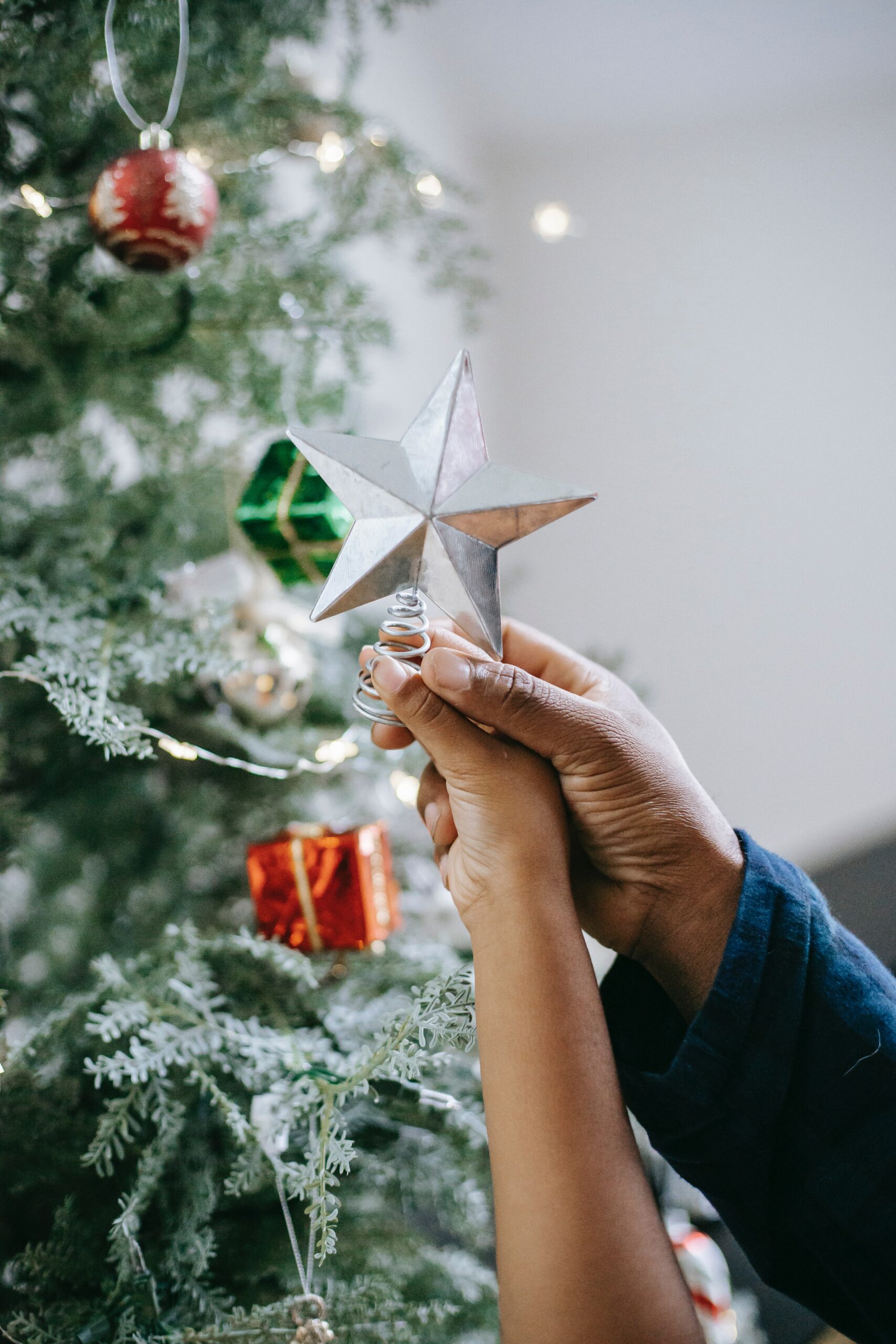 Poinsettia Árbol de Navidad