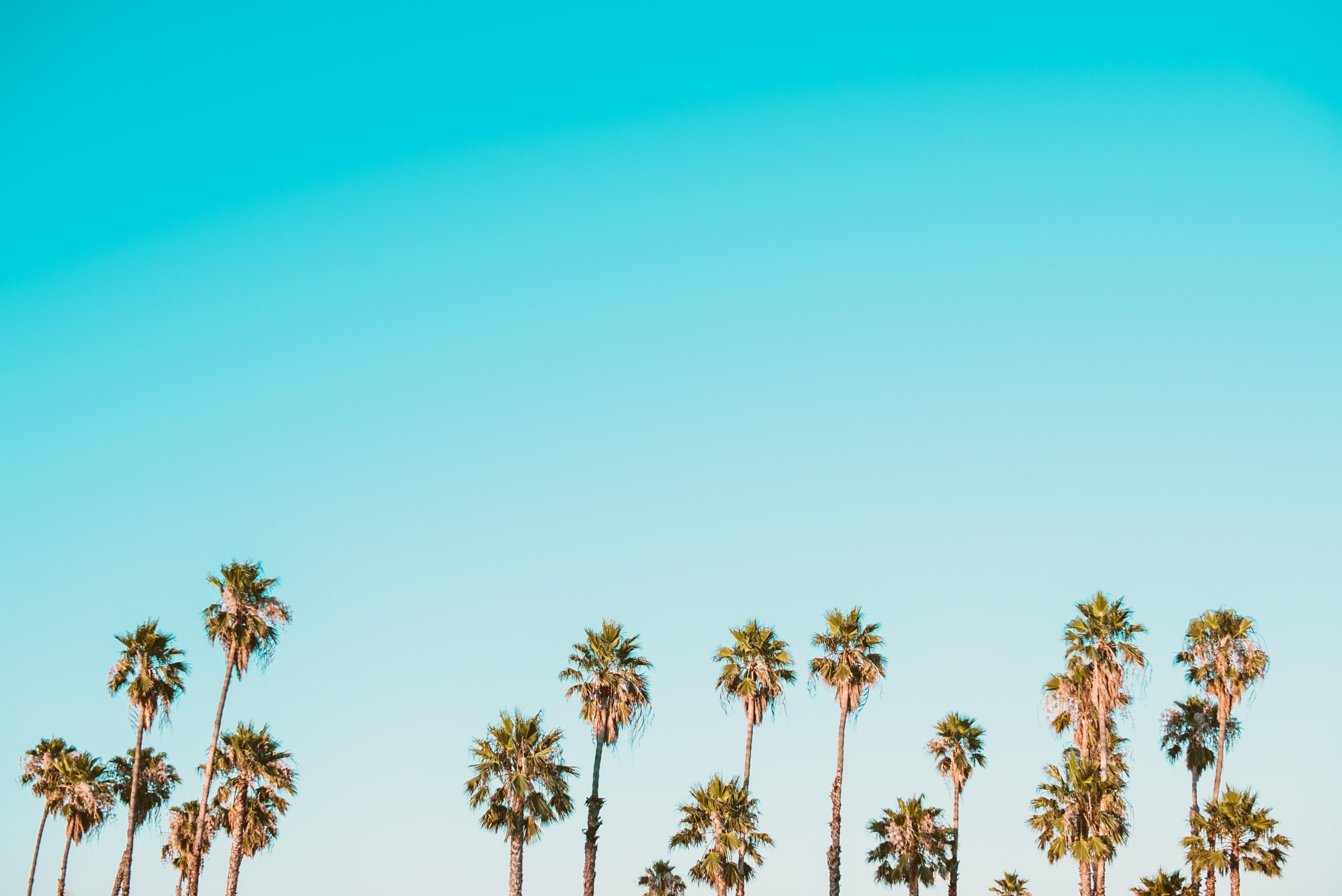 Microsoft Teams On X: @MicrosoftLife A Teams Beach, 40% OFF