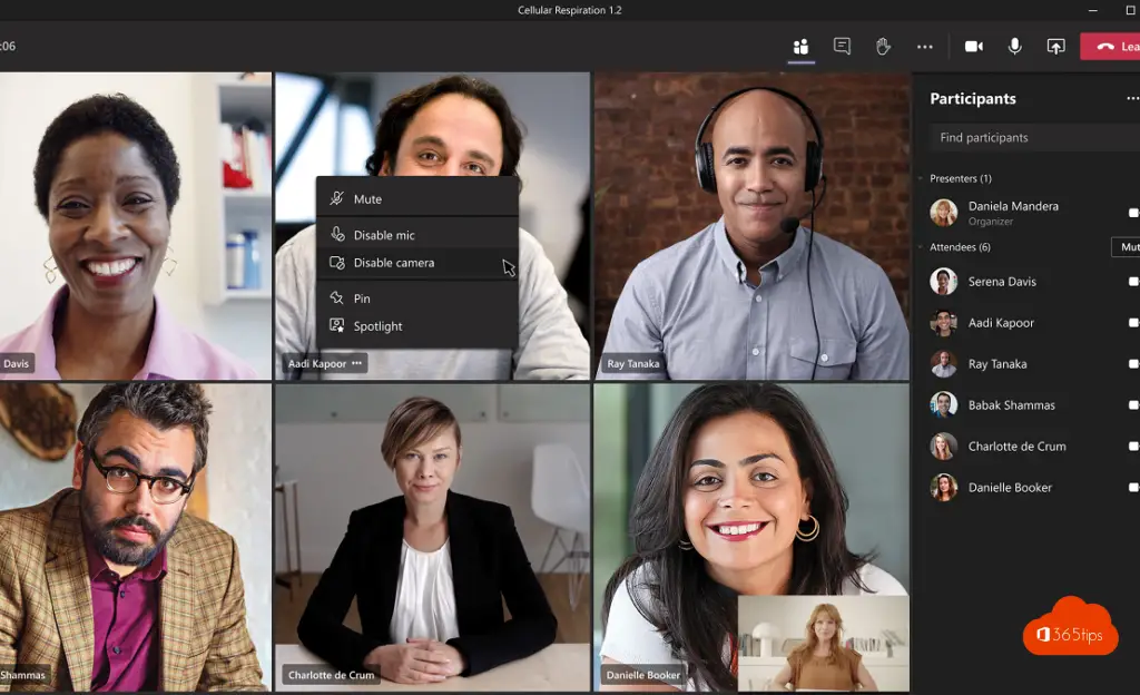 How can you turn off the camera of participants in Teams meetings?