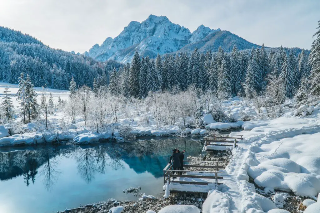 Winterwunderland natürliche Eisbäume schneeweiß