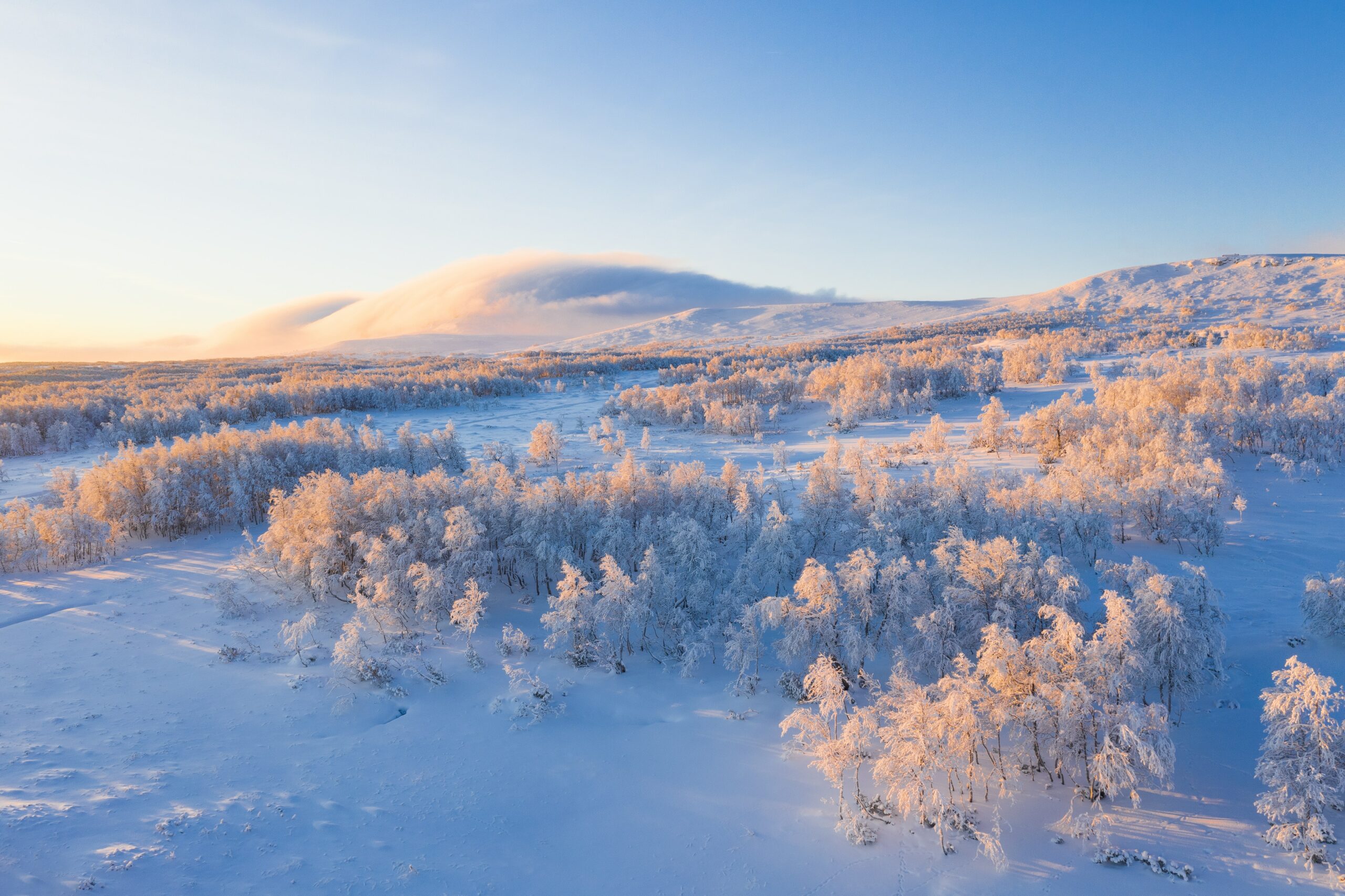 ❄️️ Winter backgrounds for Microsoft Teams