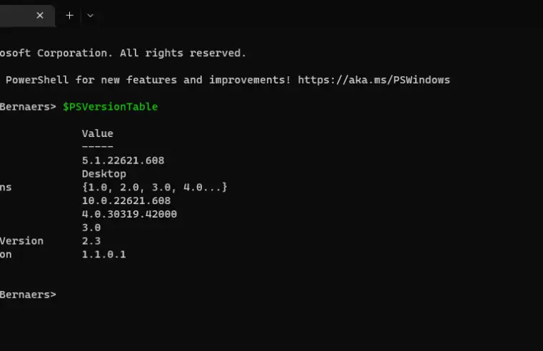 🎛️ Hoe controleert u de PowerShell-versie in Windows?