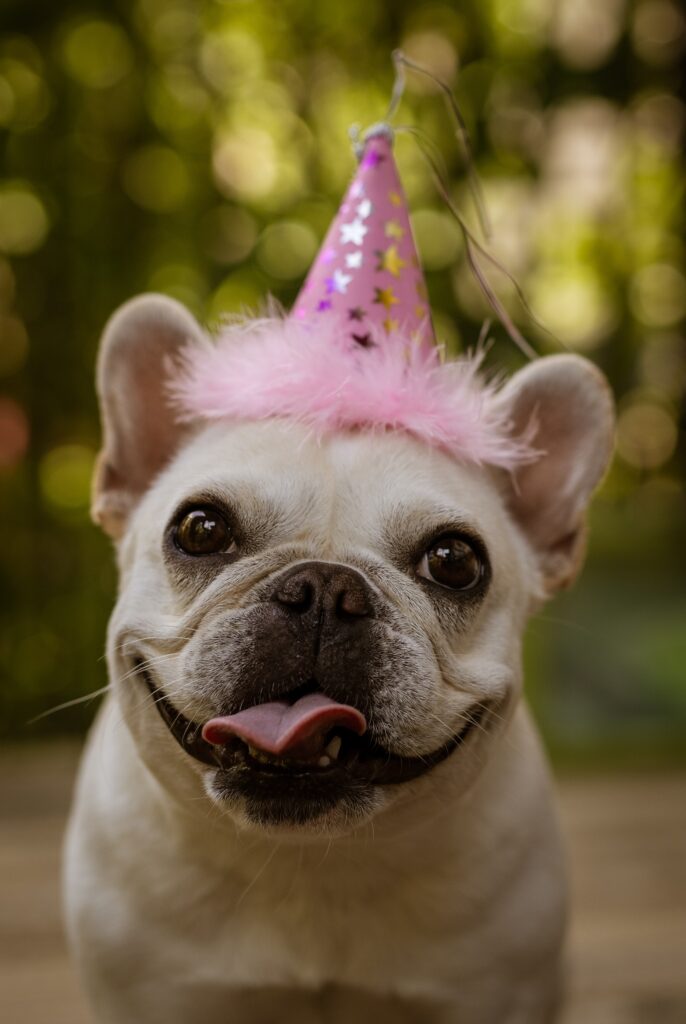 Tarjeta de cumpleaños de humor canino duro